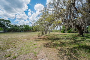Vacant Lot (12)