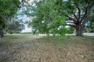 Vacant Lot (5)