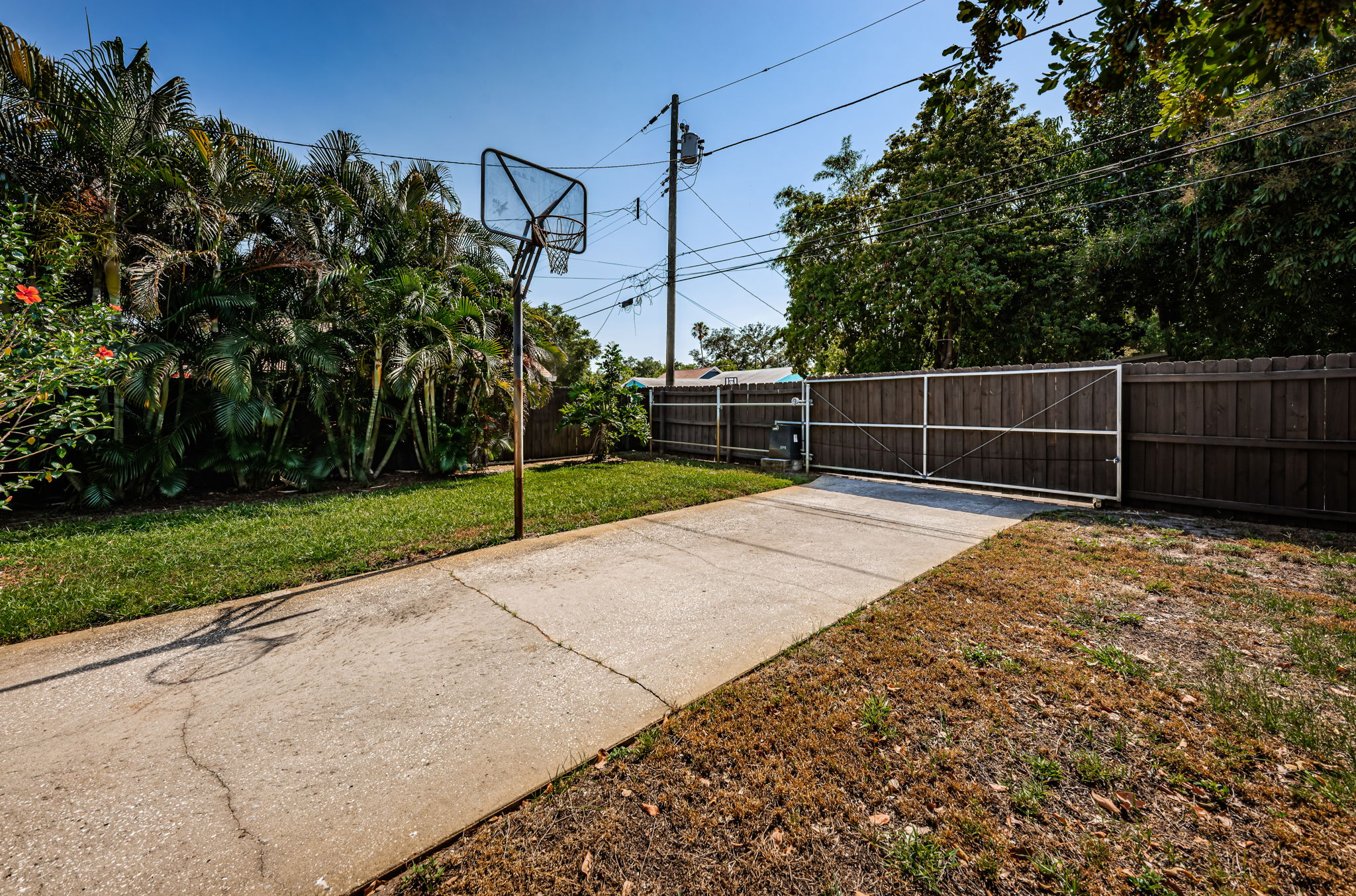 Backyard5