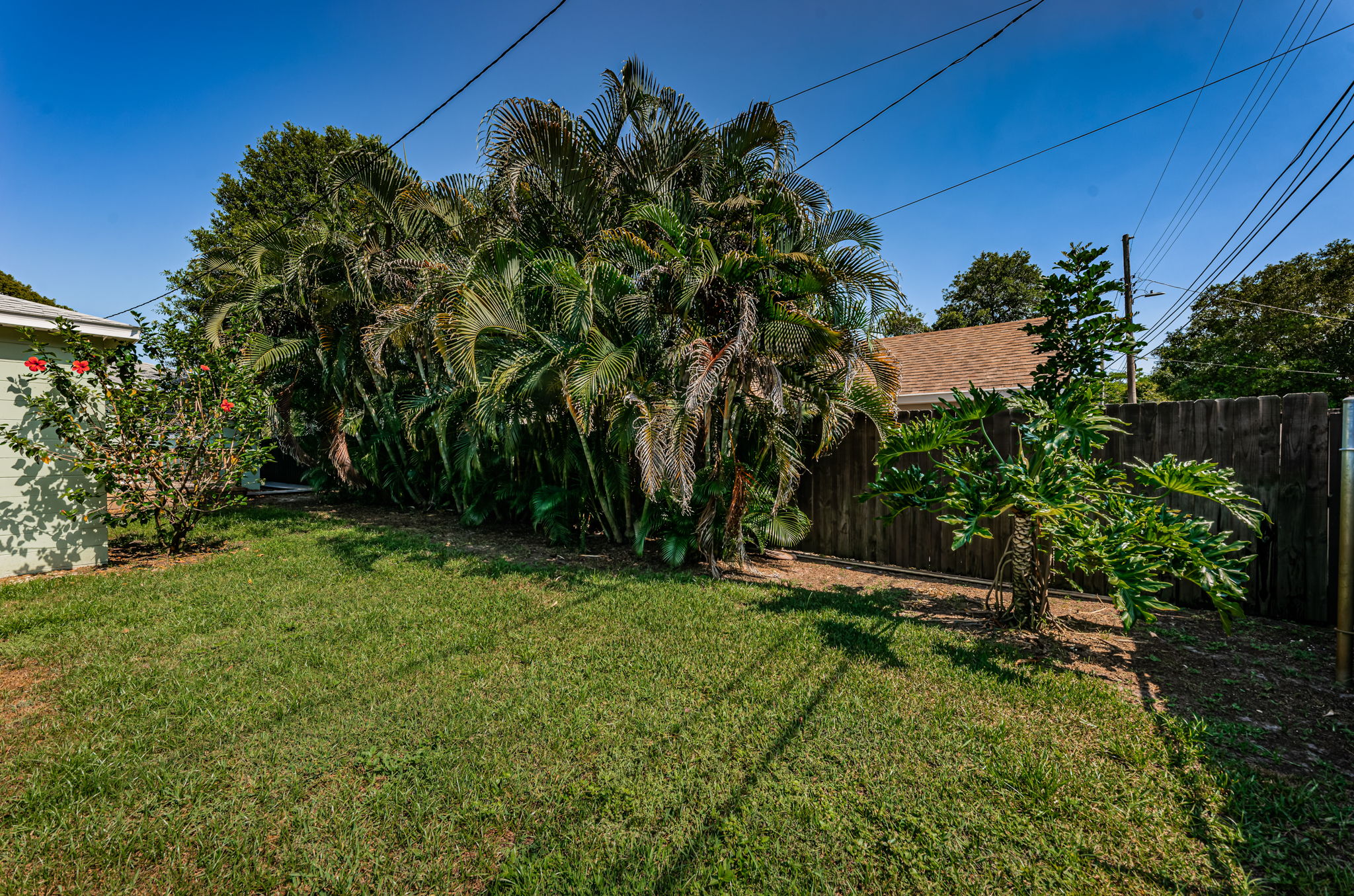 Backyard7