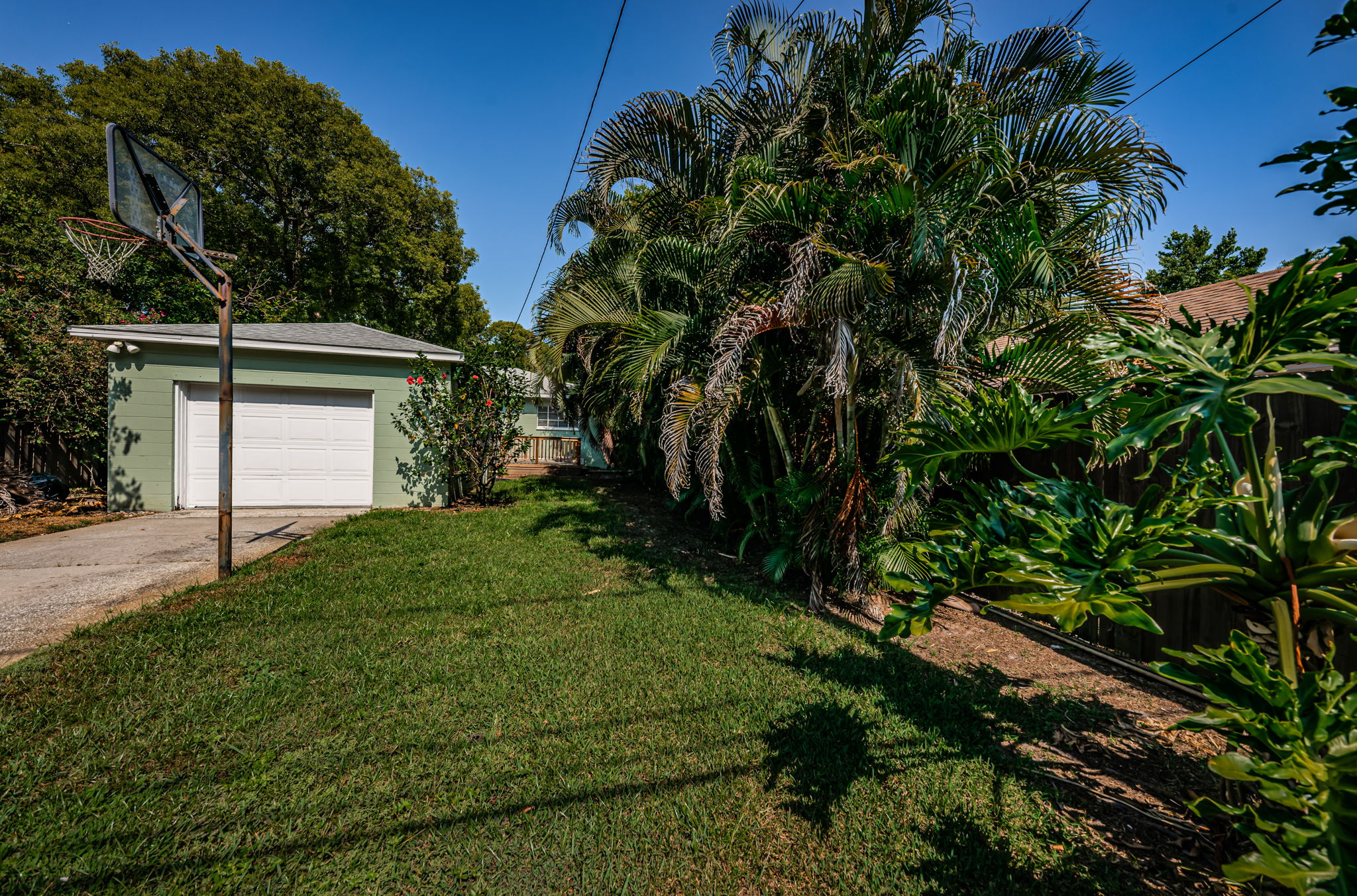 Backyard8