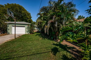 Backyard8