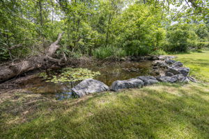  Photo 50