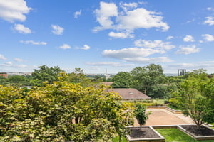 The view of the Monument.jpg