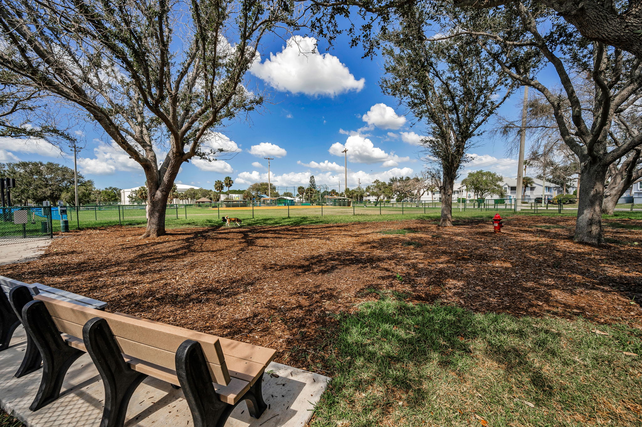 Park25