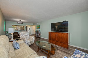 Living Room 4