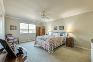  Photo 0