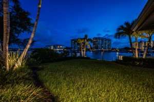Backyard26