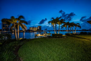 Backyard27