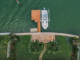 Aerial (22)