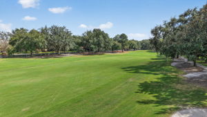 Magnificent Golf Front Views!