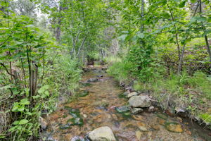  Photo 51