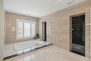 Primary Bath Tub and Shower