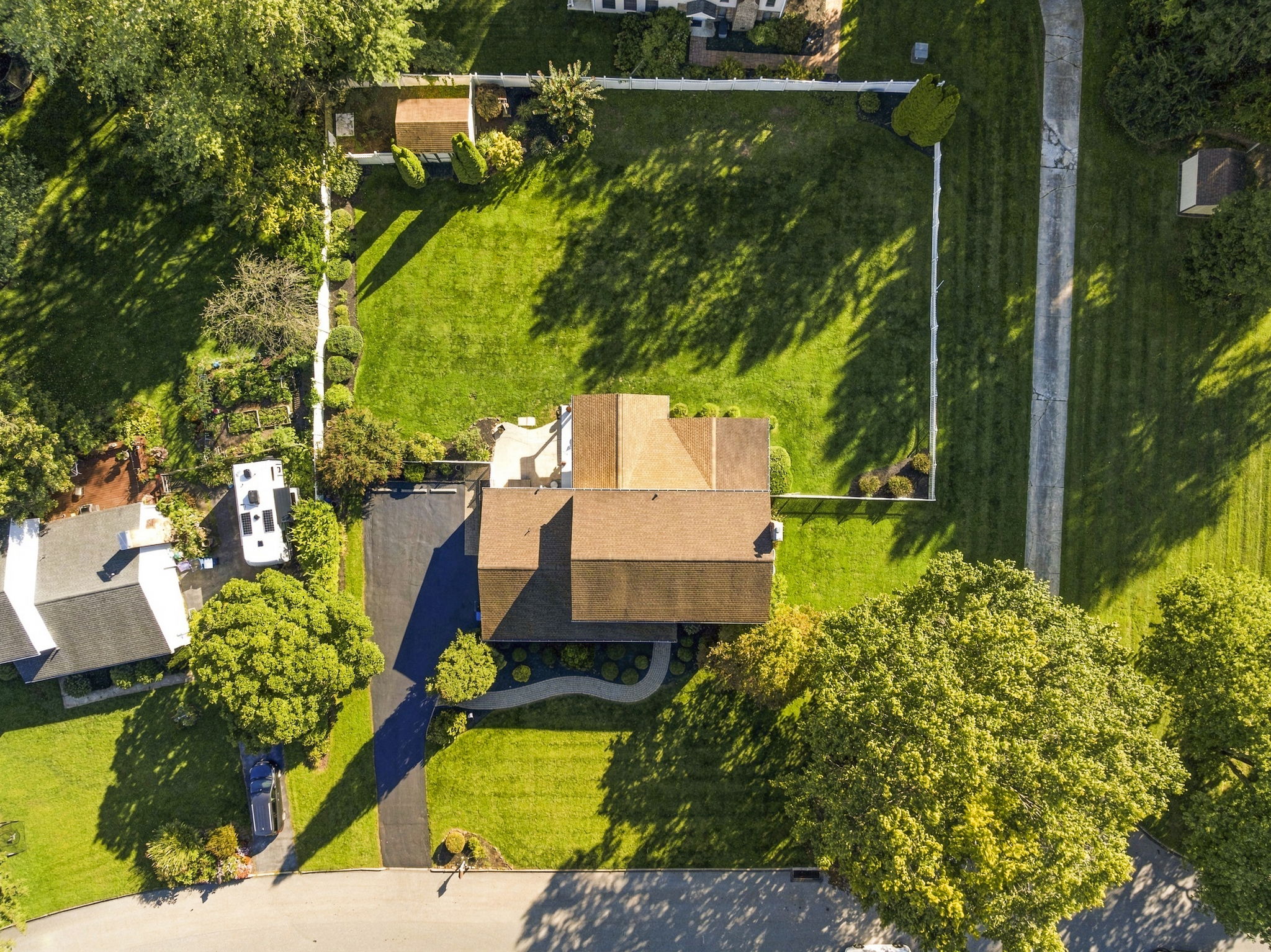 z Drone (1)