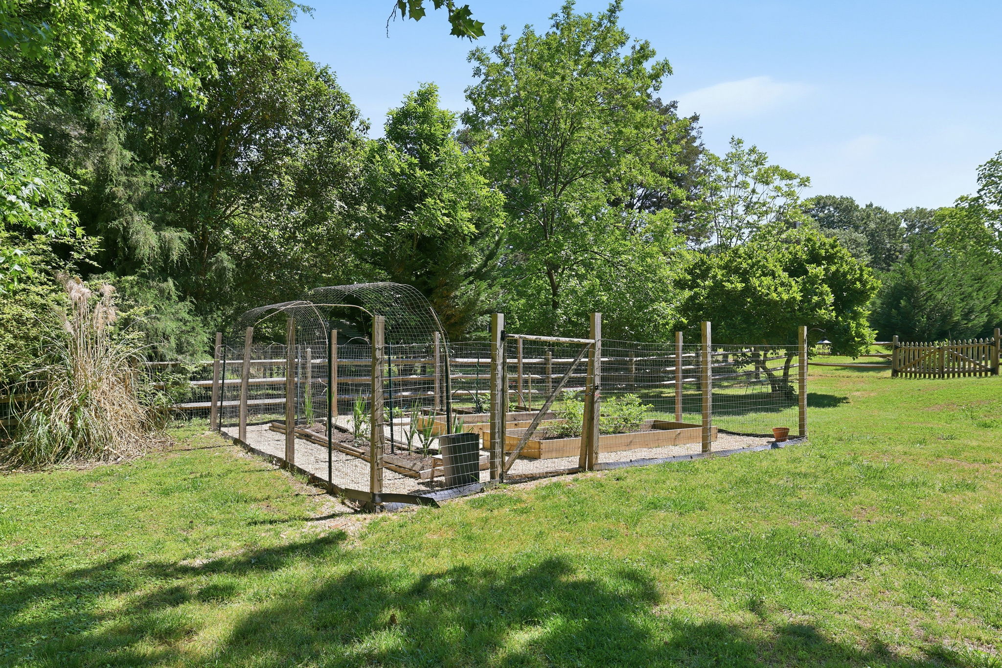 Your own vegetable and berry garden