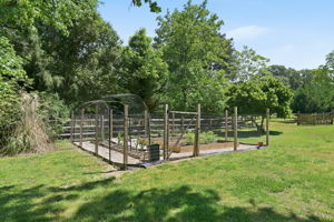 Your own vegetable and berry garden
