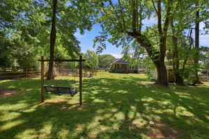 Expansive back yard