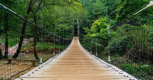 ACS Greenway