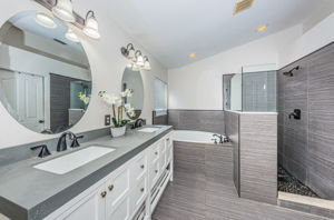 Master Bathroom1a