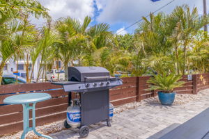 AB3_12035 Gulf Blvd-22