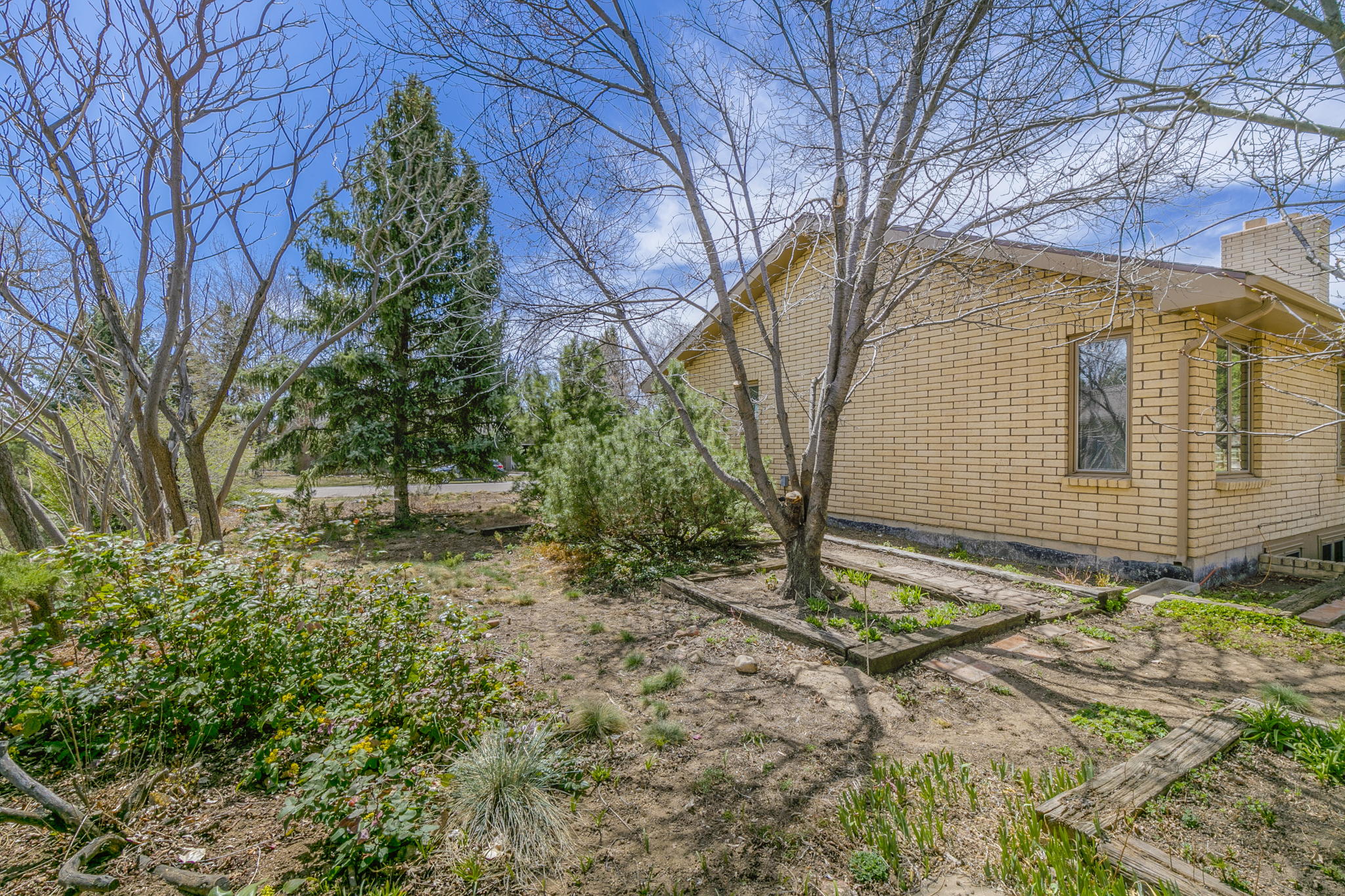 1204 Clark St, Fort Collins, CO 80524, USA Photo 37