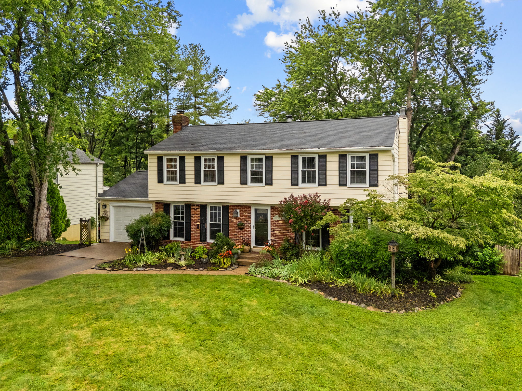  Photo 65