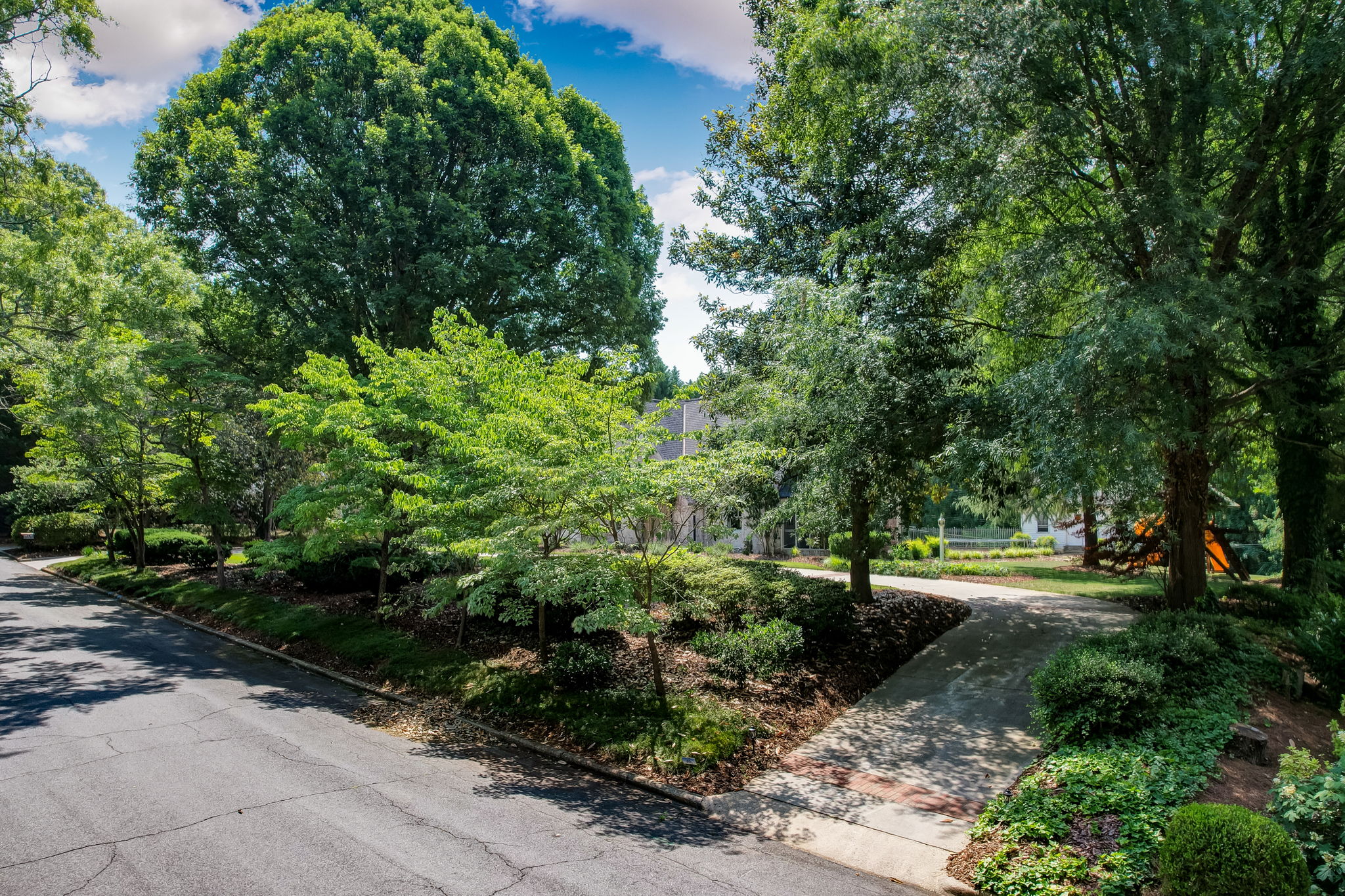 Front Yard