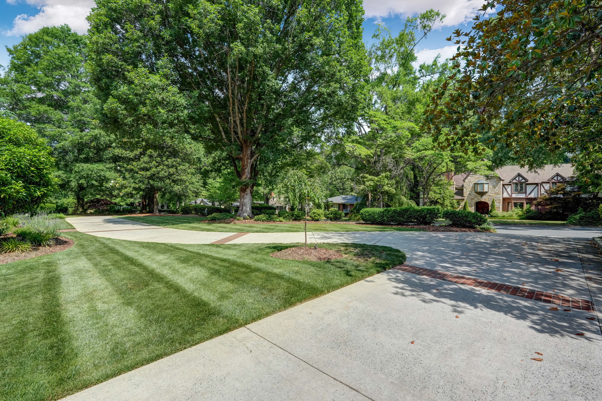 Front Yard