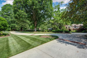 Front Yard
