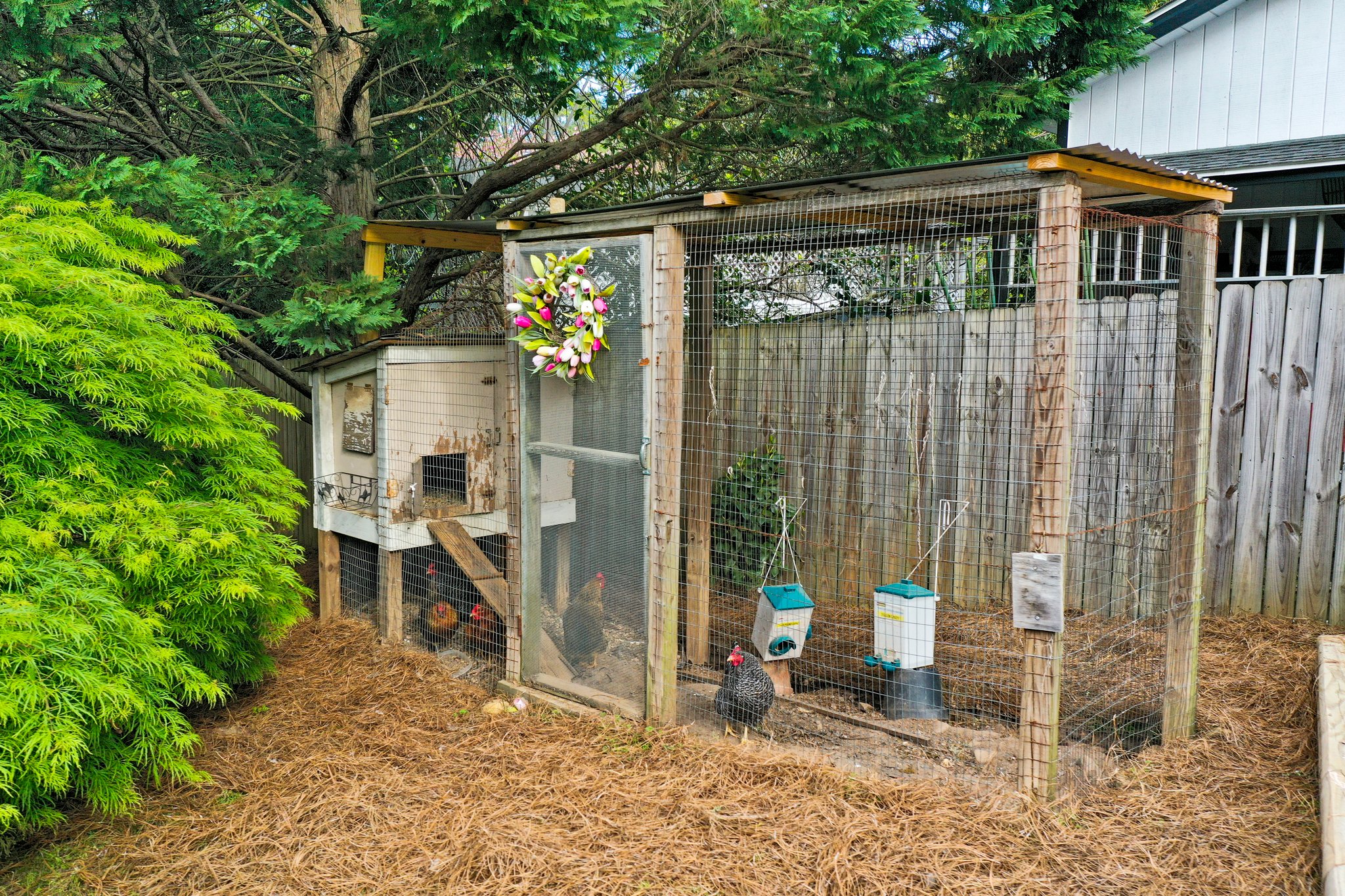 1205 Indian Trail Dr, Raleigh, NC 27609, USA Photo 36
