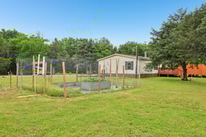 Newtown Rd-1105-052.jpg