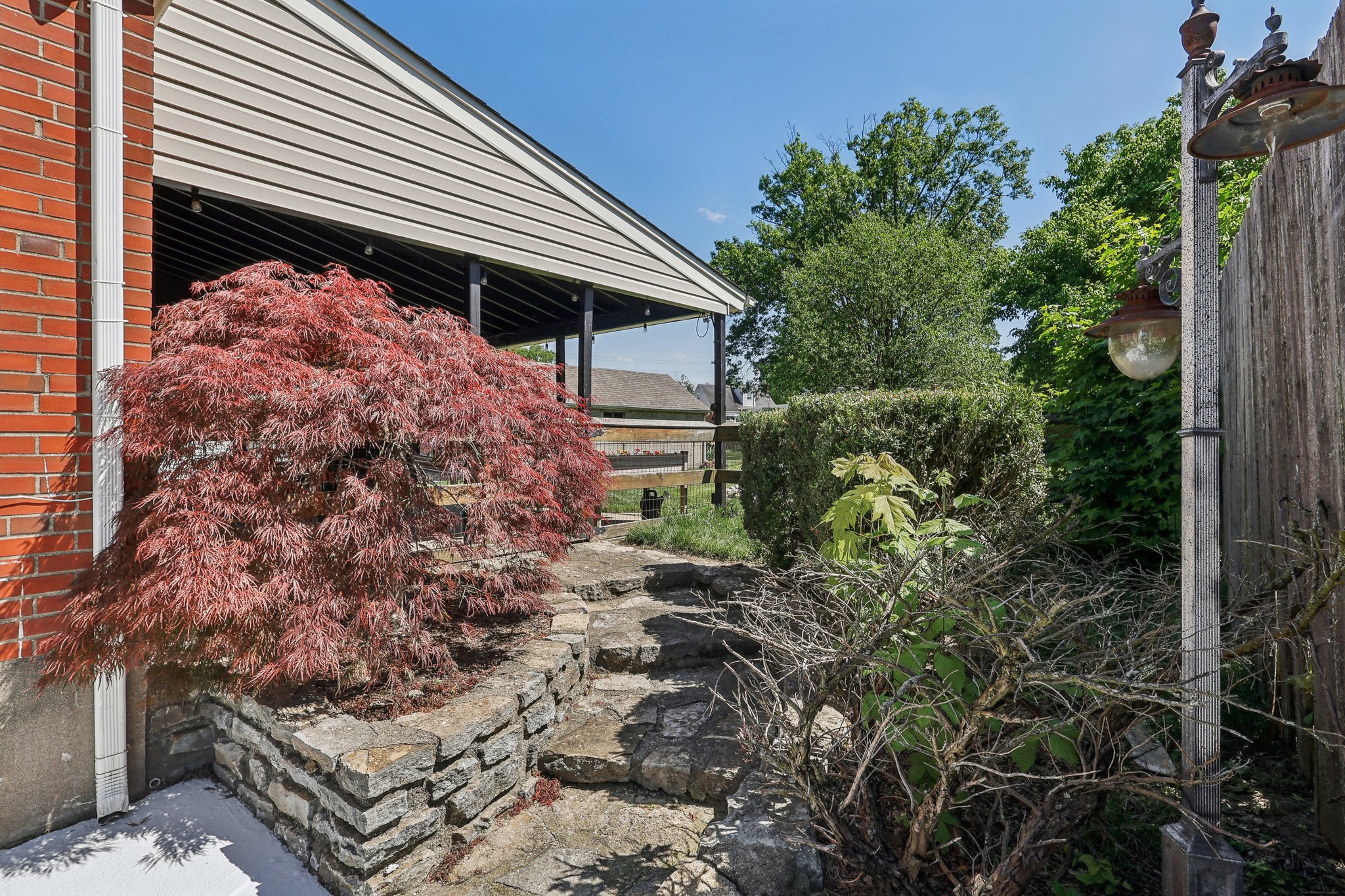 Georgia Ln-1705-037.jpg