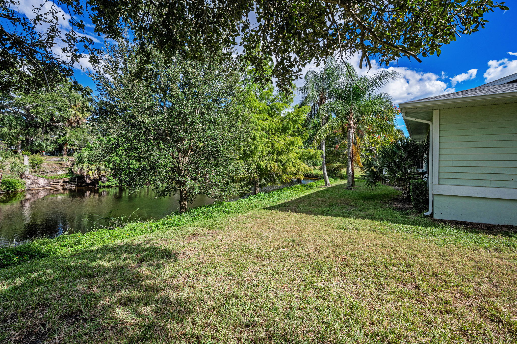 Backyard1