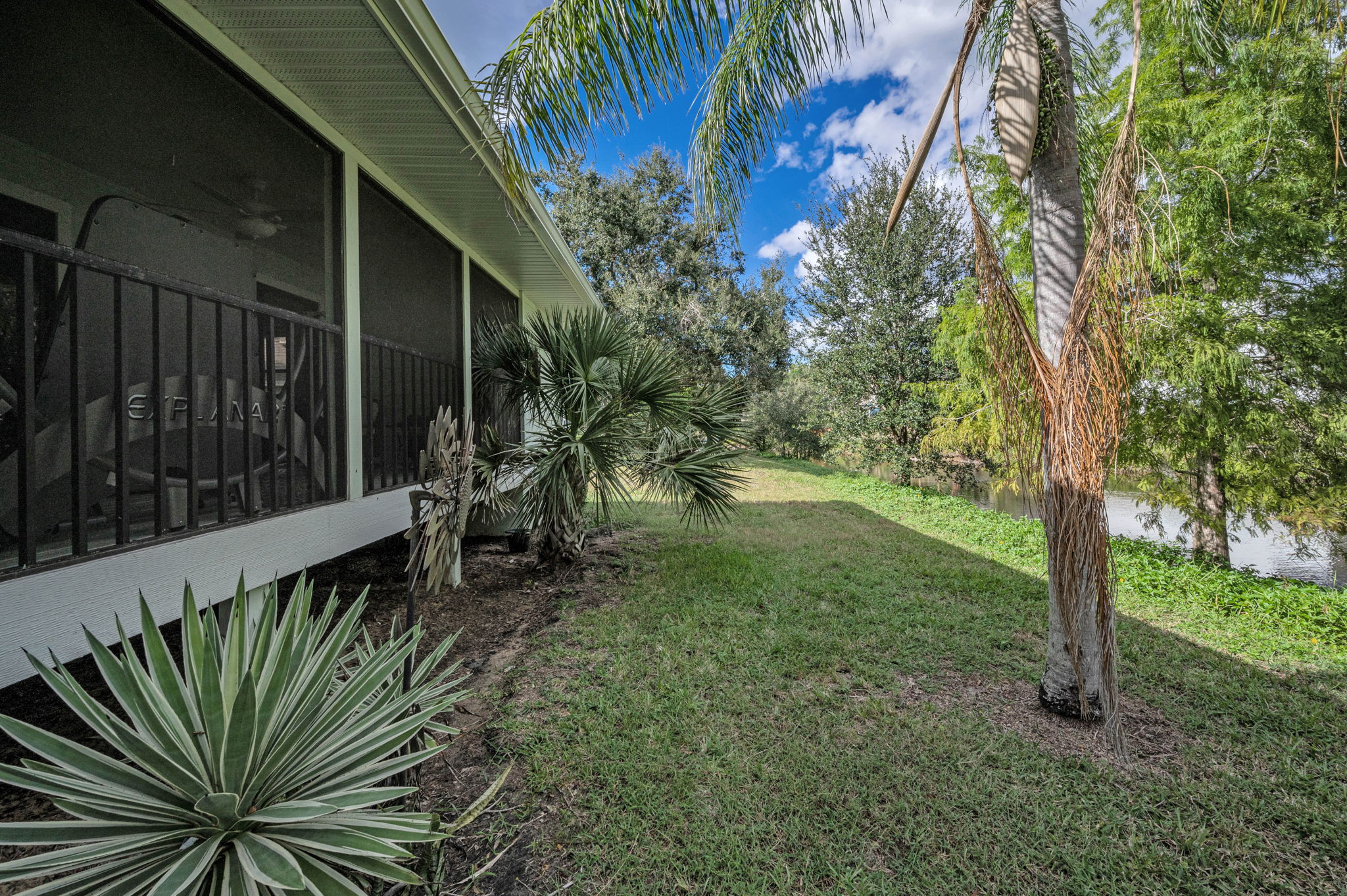 Backyard14
