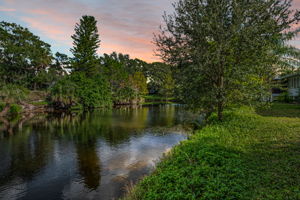 Backyard3