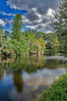 Backyard4