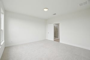 Triton Dr-0605-018.jpg