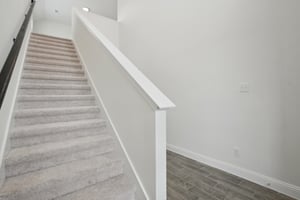 Triton Dr-0605-025.jpg