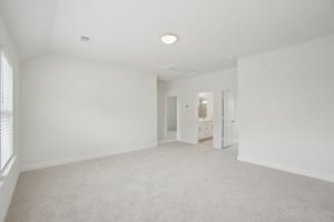 Triton Dr-0605-026.jpg