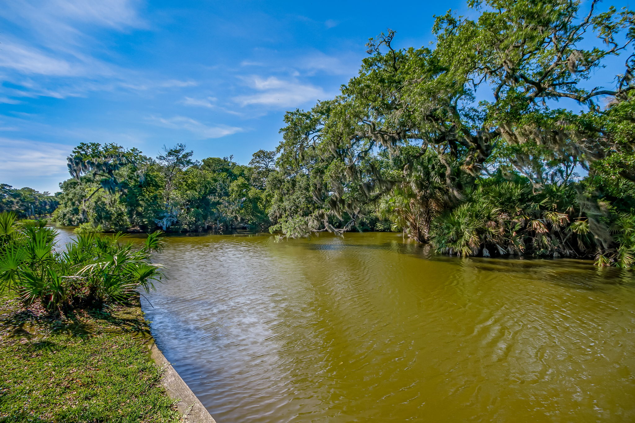 Lake View