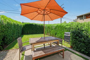 Altered Photo to show higher hedge