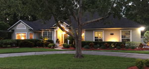 Twilight View