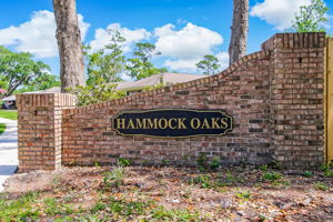 Hammock Oaks