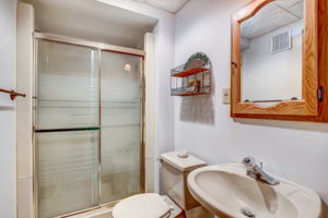 Lower Level - Bathroom