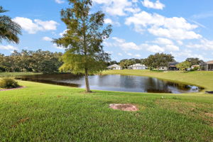 Pond View