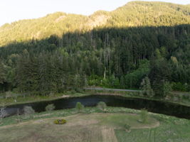  Photo 37