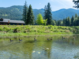 Photo 45