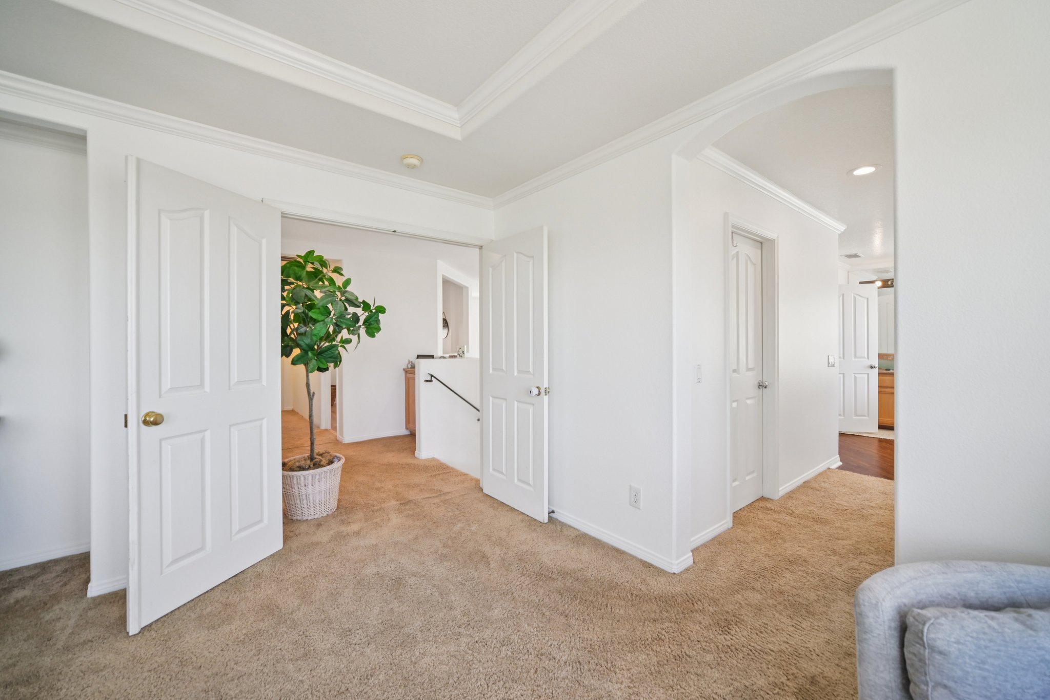 Poppy Tree Pl-S1504-029.jpg