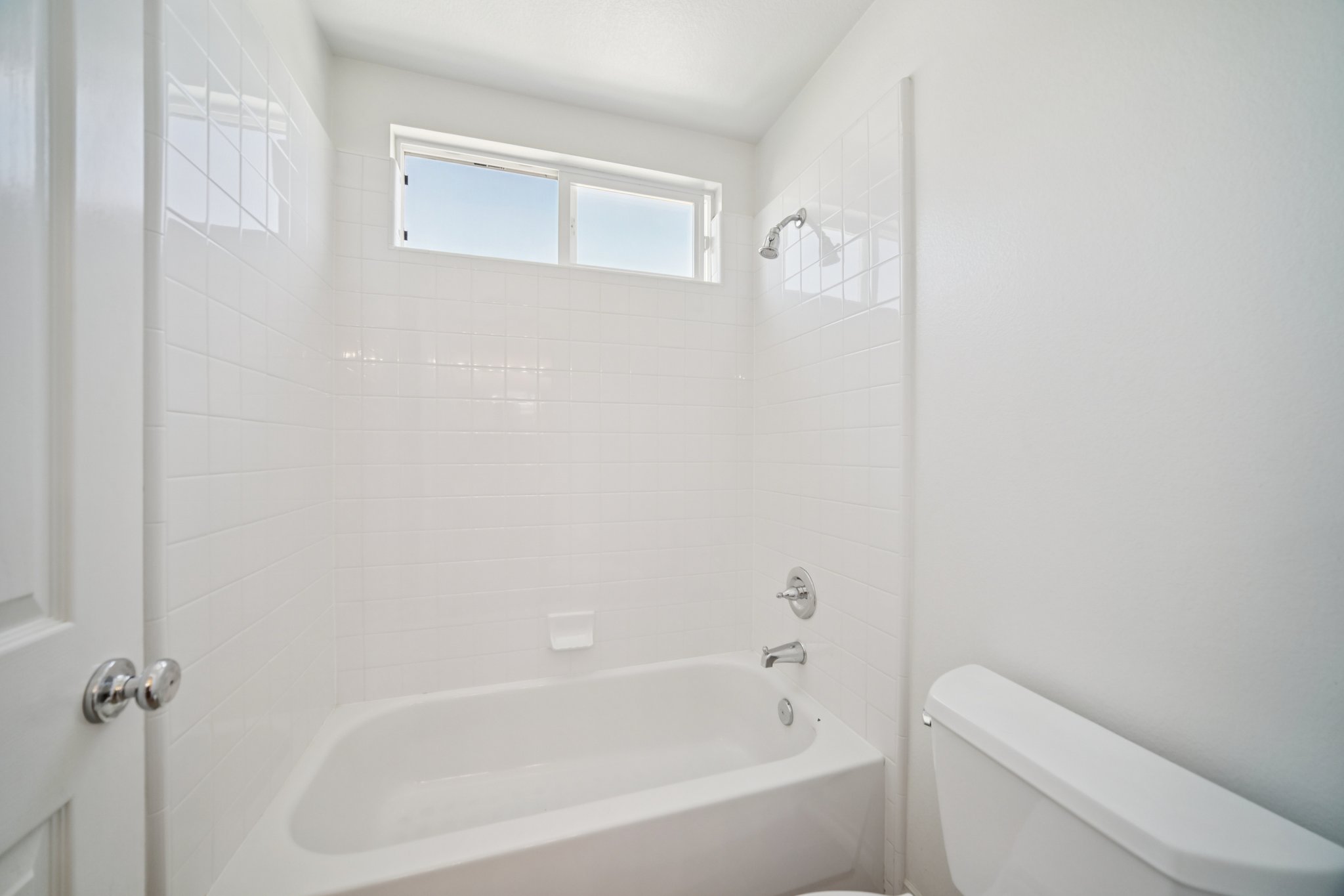 Poppy Tree Pl-S1504-037.jpg