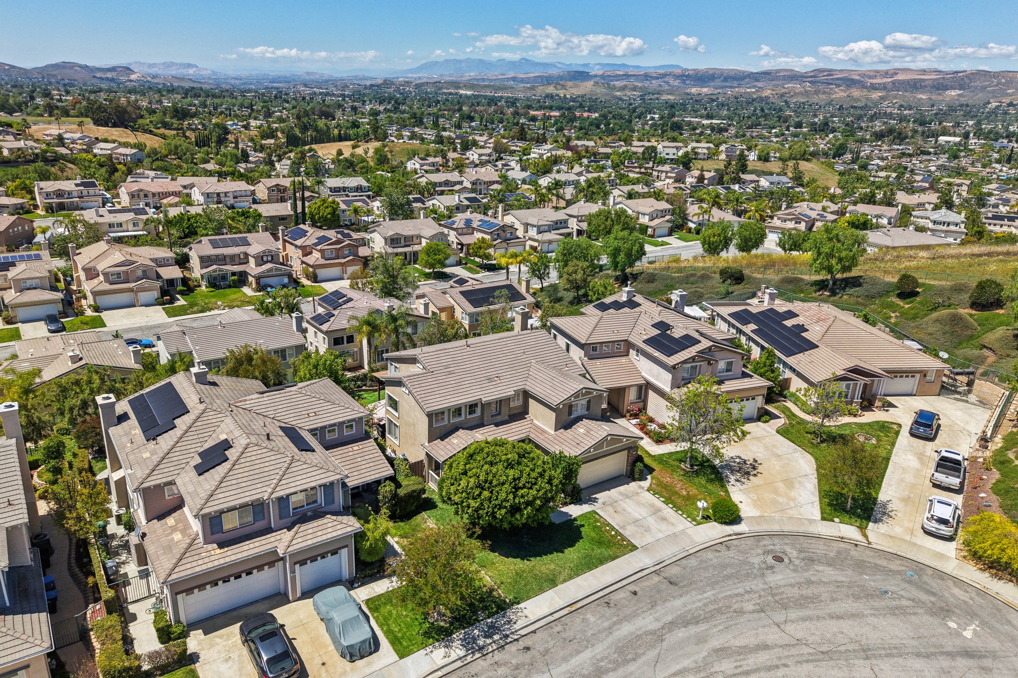 Poppy Tree Pl-S1504-051.jpg
